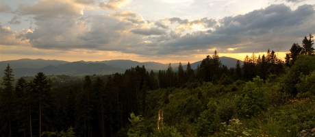 панорама карпат на закате